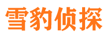 新安市婚外情调查